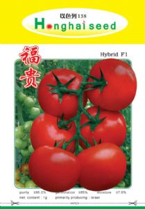 供应福贵—番茄种子