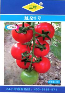 供应航杂3号—番茄种子