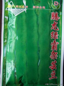 供应腾龙绿霸架芸豆—豇豆种子