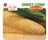 供应GT-106 超甜玉米——玉米种子