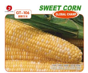 供应GT-106 超甜玉米——玉米种子