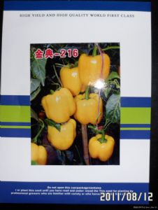 供应早春越冬进口甜椒金典216（大果型）—甜椒种子