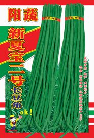供应阳蔬新夏宝二号长豆角-豇豆种子