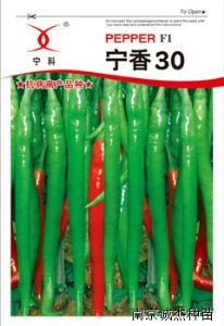 供应宁香30—辣椒种子