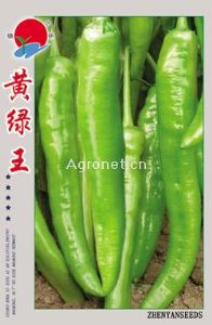 供应黄绿王—辣椒种子