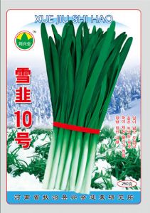 供应雪韭十号—韭菜种子
