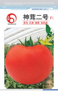 神茸二号—番茄种子