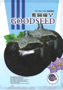 供应紫圆极早—早熟圆茄种子