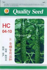 HC04—10—黄瓜种子