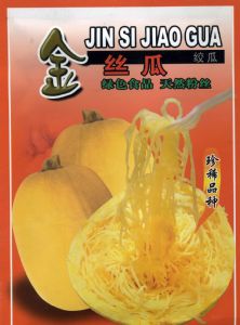 供应金丝瓜—特菜种子