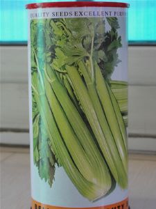 供应文图拉—芹菜种子