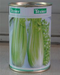 供应法国Tezier皇后西芹--芹菜种子