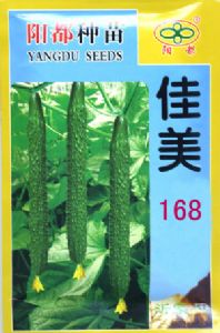 供应佳美168—黄瓜种子