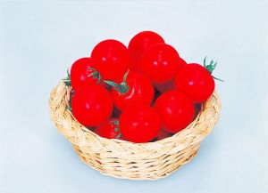 供应红妃小番茄—番茄种子