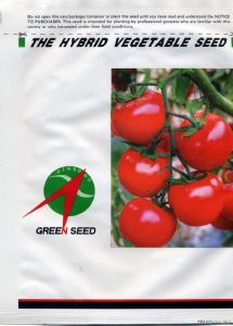 供应迈多1798—番茄种子