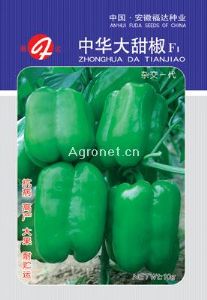 供应中华大甜椒—辣椒种子