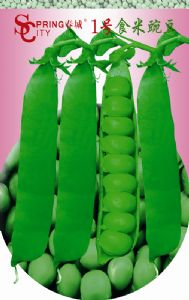 供应—春城1号食米豌豆—豌豆种子