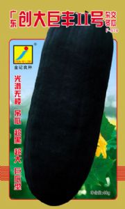 供应广东创大巨丰号F-919—冬瓜种子