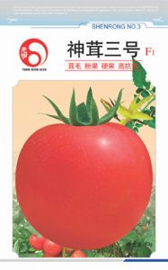 神茸三号—番茄种子