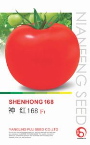神红168 F1—番茄种子
