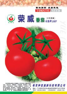 供应荣威—番茄种子
