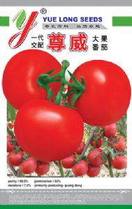 供应尊威—番茄种子