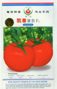 供应凯尊—番茄种子