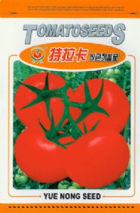 供应特拉卡—番茄种子