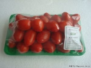供应无公害樱桃番茄