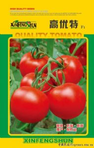 供应高优特F1—番茄种子