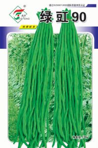绿豇90——豇豆种子