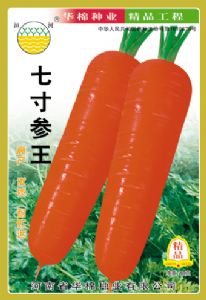 供应七寸参王—胡萝卜种子