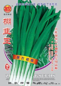 供应棚韭王—韭菜种子