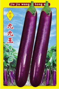 九九紫红茄-茄子种子