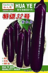 供应特级32号紫红长茄—茄子种子