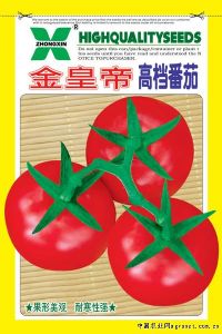 供应金皇帝高档番茄—番茄种子
