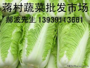 供应北京三号白菜