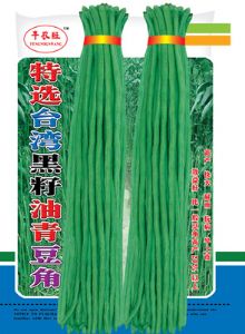 供应特选台湾黑籽油青豆角—豇豆种子