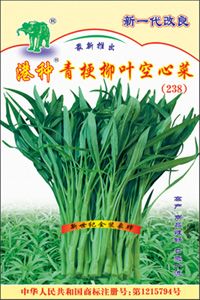 港种青梗柳叶空心菜(238)——青梗空心菜种子