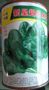 供应新星超级黑叶—菠菜种子