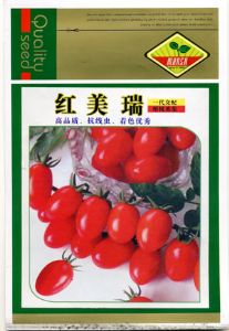 供应番茄种子——红美瑞