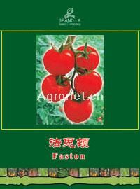供应法思顿－番茄种子