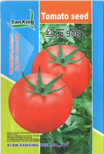 供应红石918—番茄种子