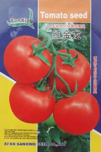 供应红金龙—番茄种子