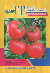 供应奥龙—番茄种子