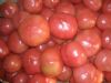 供应台湾加沙401西红柿