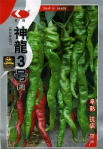 供应神龙3号-辣椒种子
