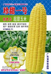 供应珍甜玉米—玉米种子