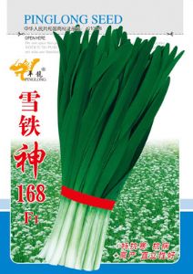 供应雪铁神168F1—韭菜种子