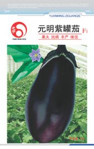 供应元明紫罐茄F1—茄子种子